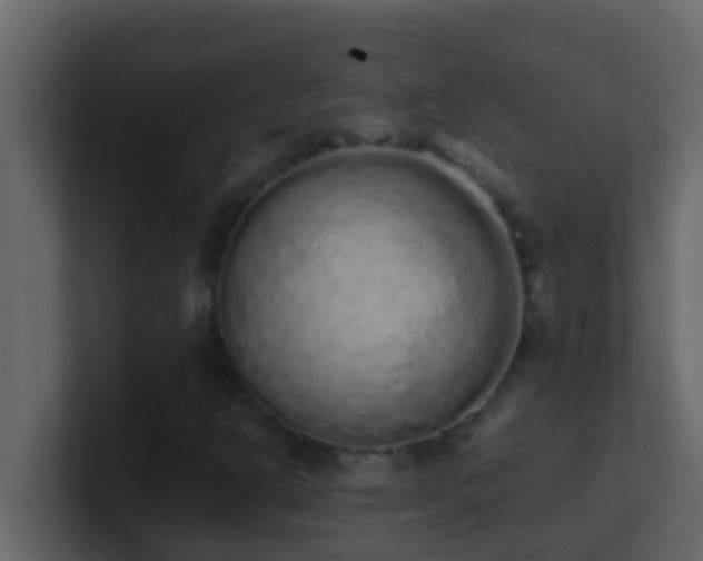 X0000101681302200807101413