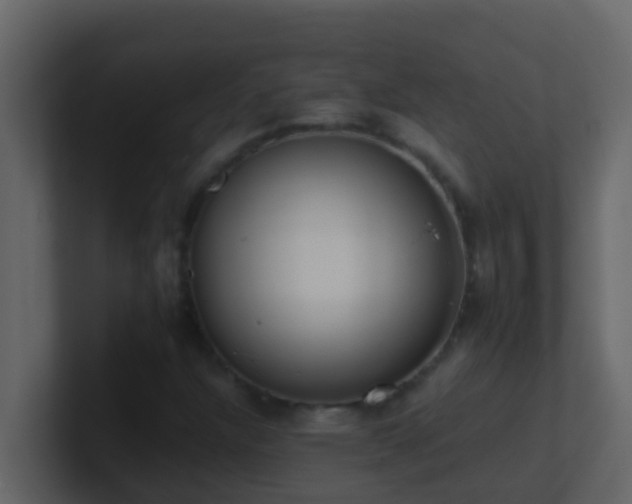 X0000101681304200807101413