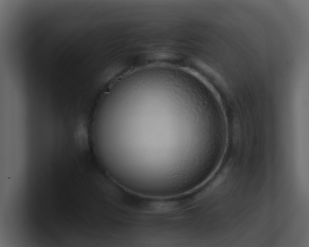 X0000101681305200807101413