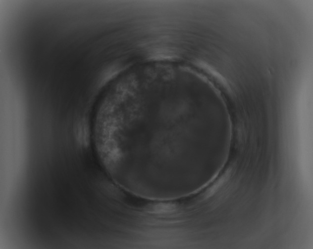 X0000101681306200807101413