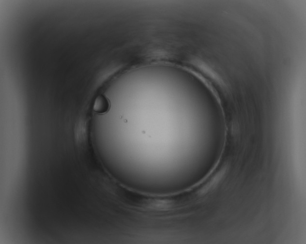 X0000101681309200807101413