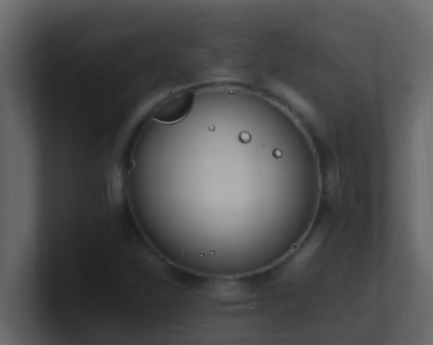 X0000101681310200807101413