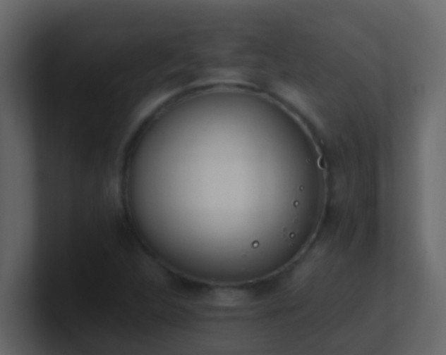 X0000101681312200807101413