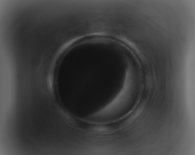 X0000101681319200807101413