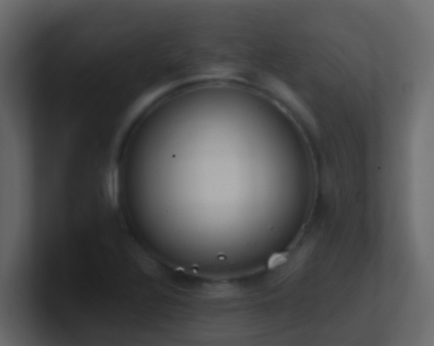 X0000101681320200807101413