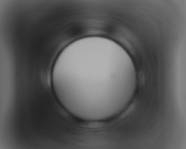 X0000101681322200807101413