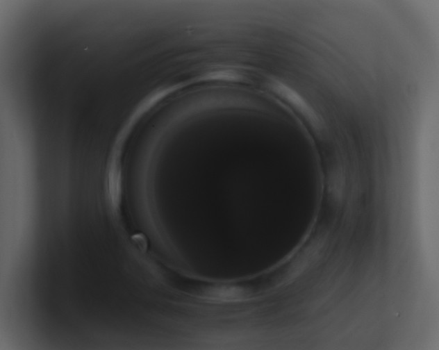 X0000101681323200807101413