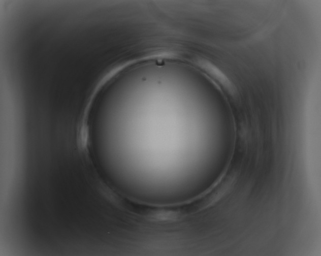 X0000101681324200807101413