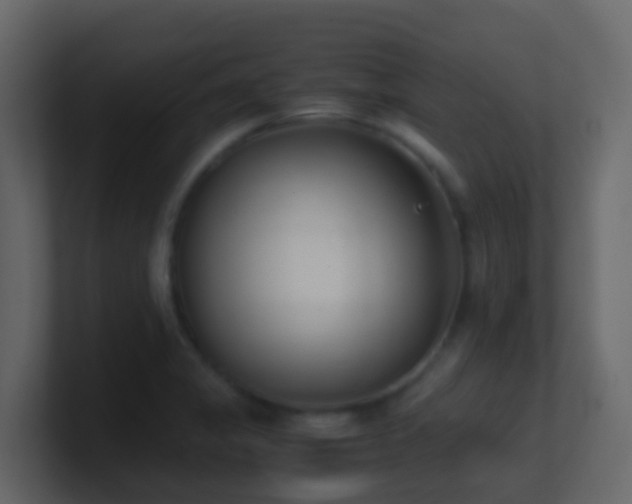 X0000101681325200807101413