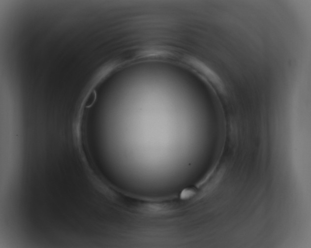 X0000101681330200807101413