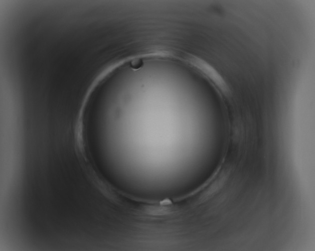 X0000101681332200807101413