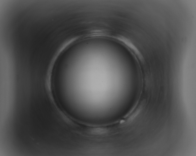 X0000101681333200807101413