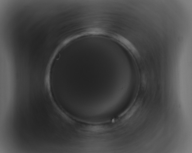 X0000101681334200807101413