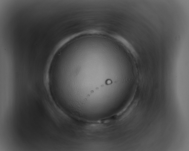 X0000101681335200807101413