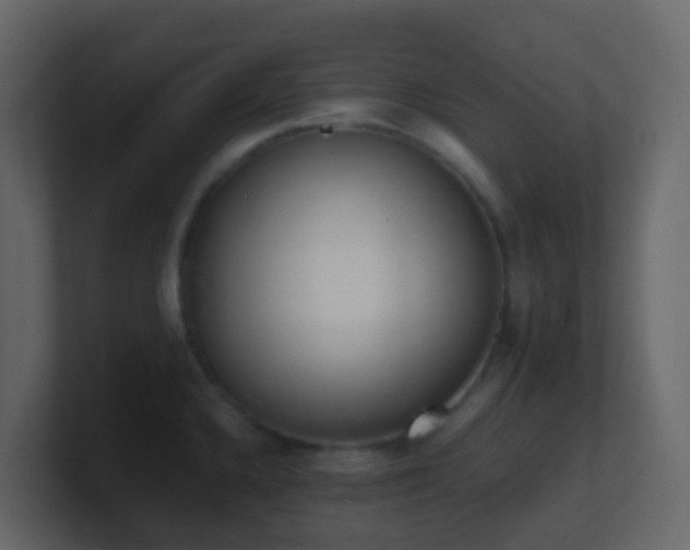 X0000101681336200807101413