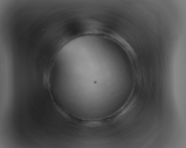 X0000101681337200807101413