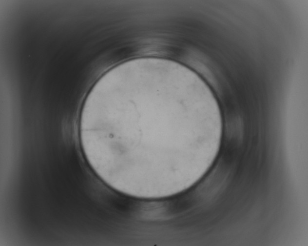 X0000101681338200807101413