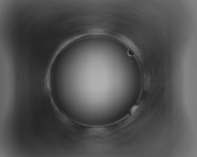 X0000101681342200807101413