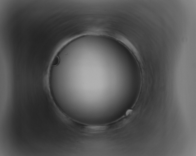 X0000101681344200807101413