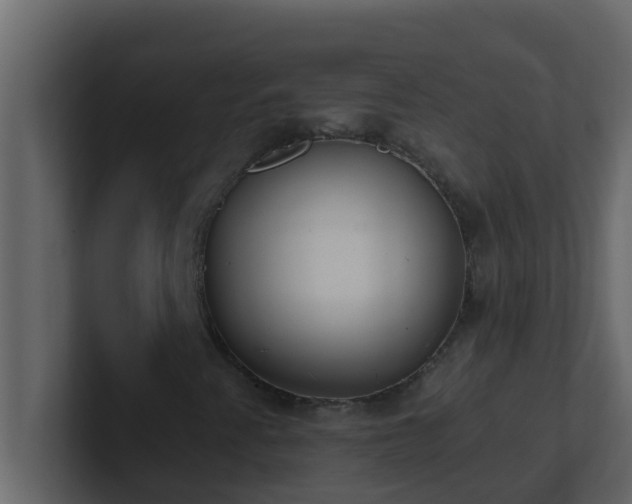 X0000101681345200807101413