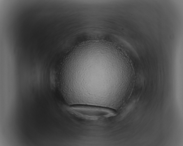 X0000101681346200807101413