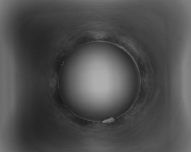 X0000101681349200807101413