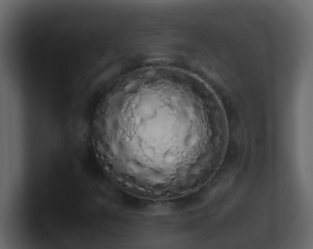 X0000101681351200807101413