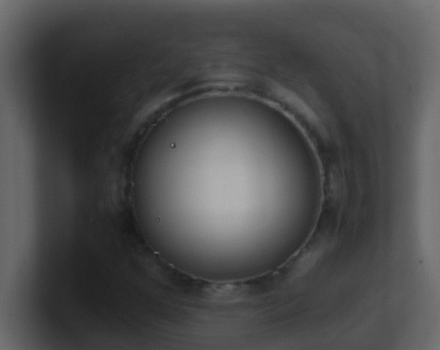 X0000101681352200807101413