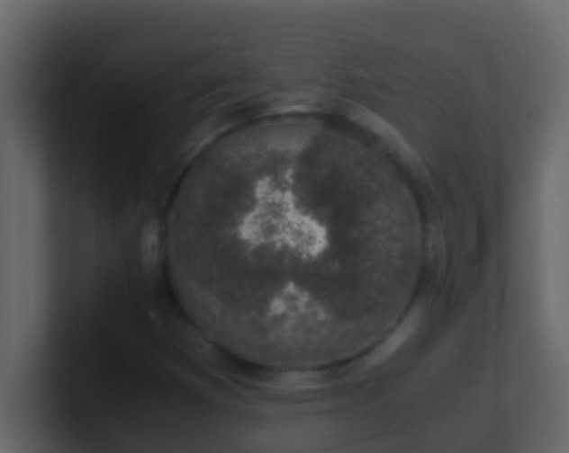 X0000101681353200807101413