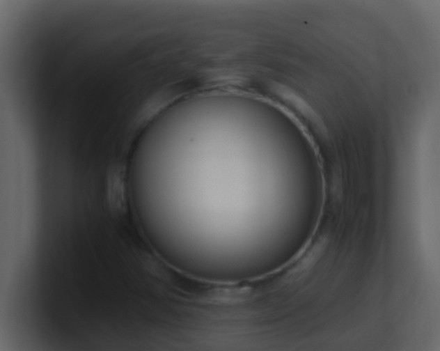 X0000101681354200807101413