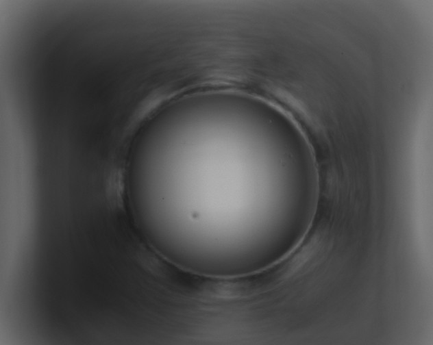 X0000101681355200807101413