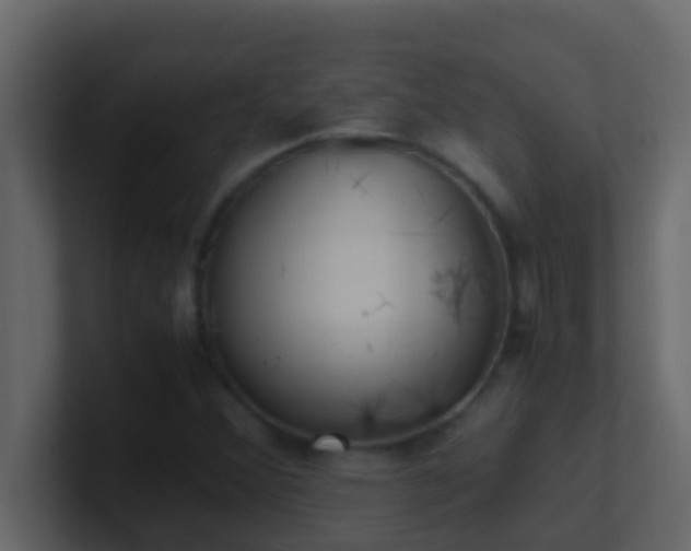 X0000101681356200807101413