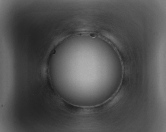 X0000101681357200807101413