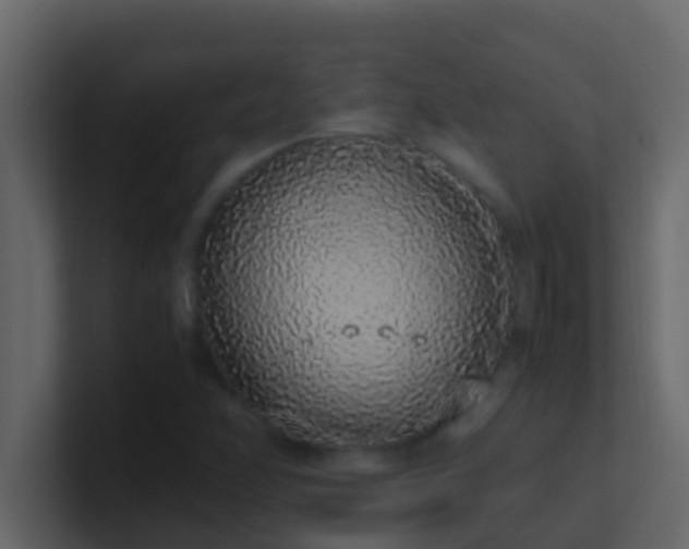 X0000101681358200807101413