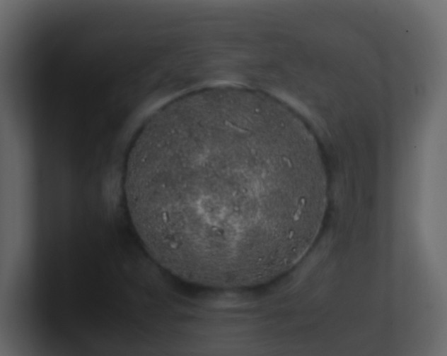 X0000101681359200807101413