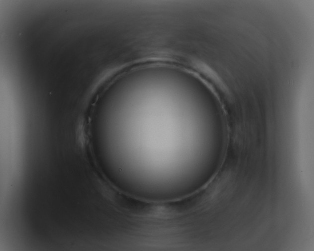 X0000101681360200807101412