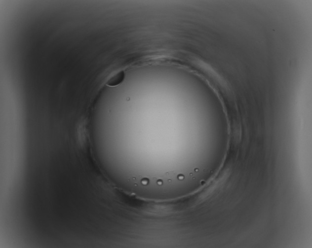 X0000101681361200807101412