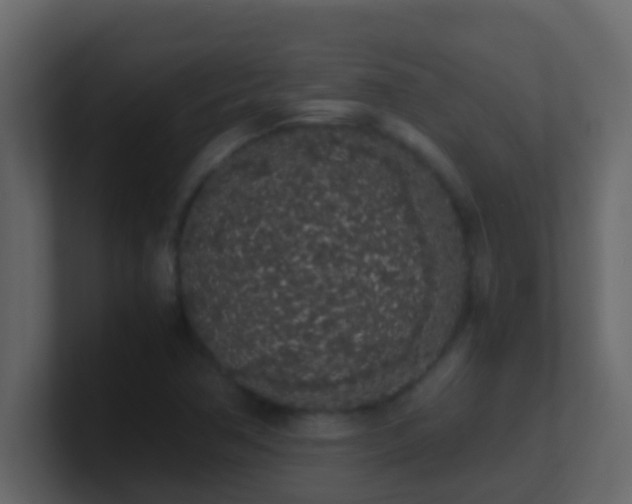 X0000101681362200807101412