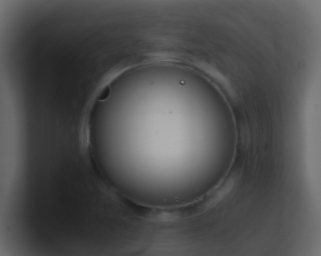 X0000101681365200807101412