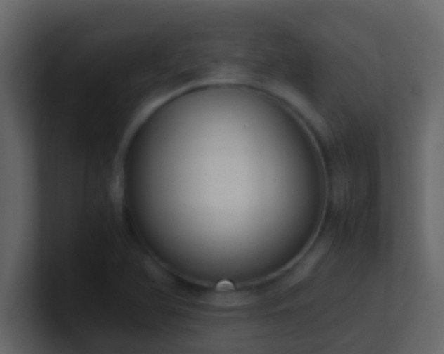 X0000101681366200807101412