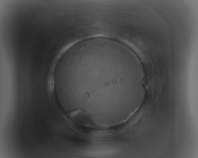 X0000101681367200807101412