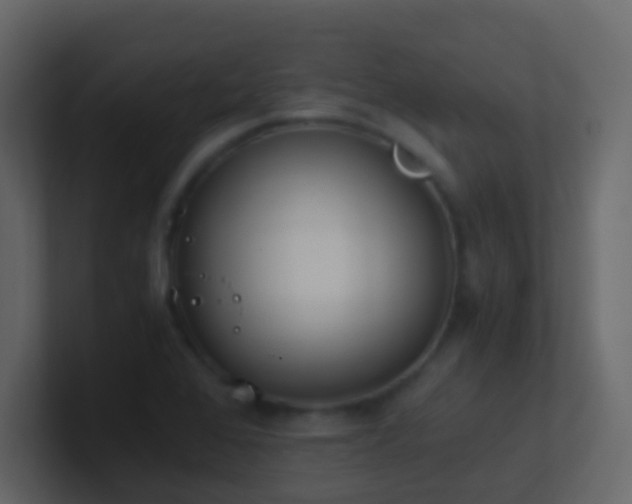 X0000101681368200807101412