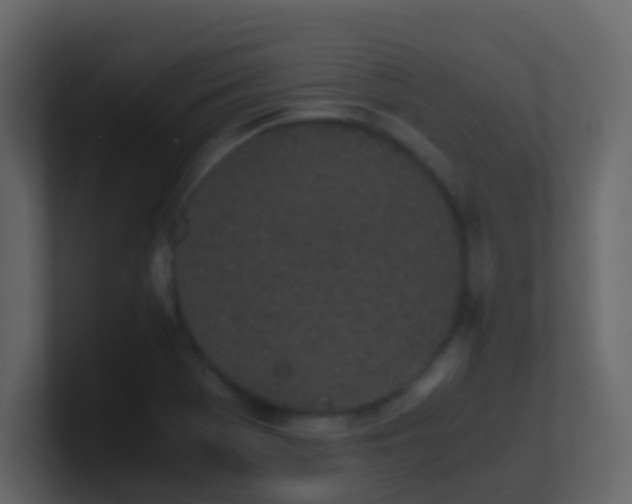 X0000101681369200807101412