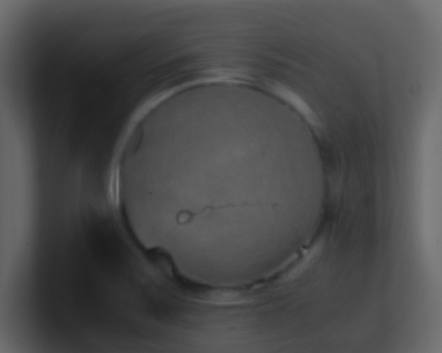 X0000101681371200807101412