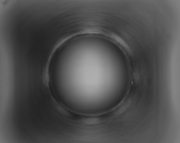 X0000101681372200807101412