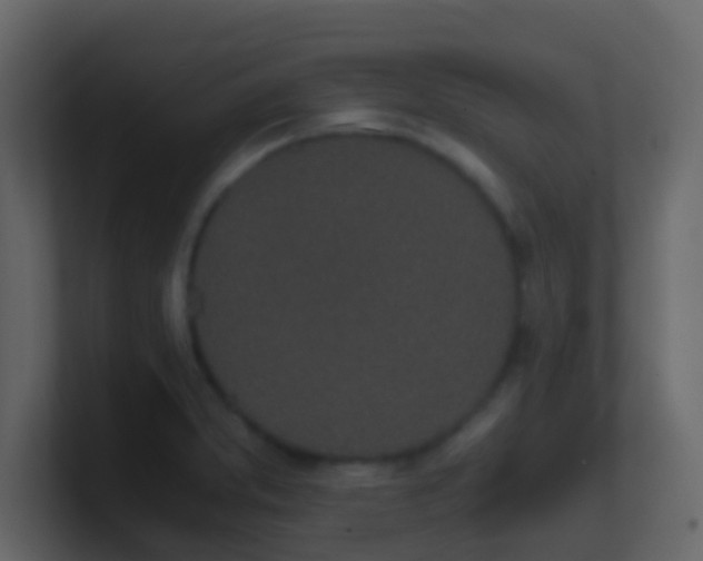 X0000101681373200807101412