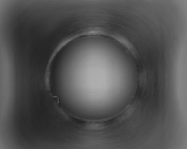 X0000101681374200807101412