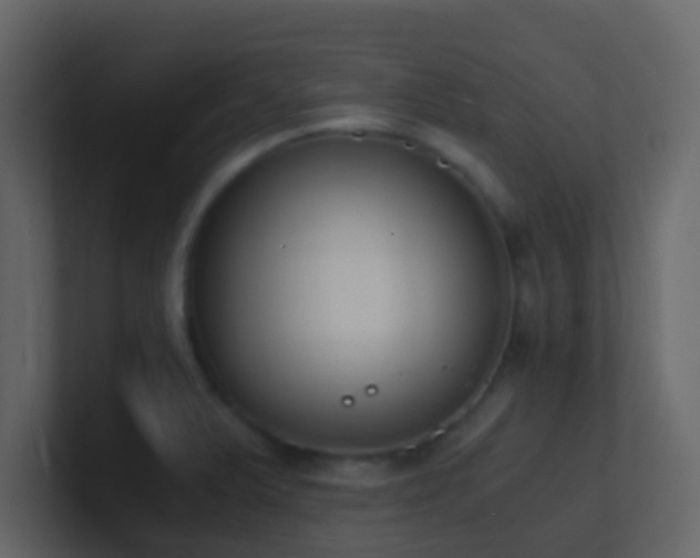 X0000101681375200807101412