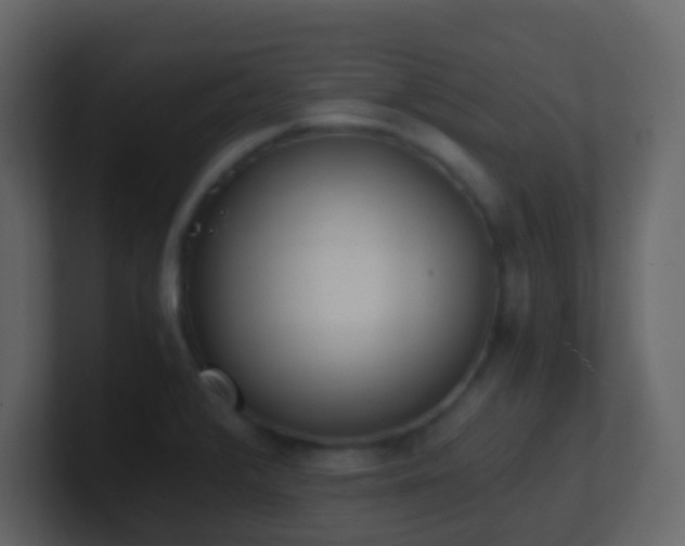 X0000101681376200807101412