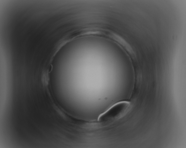 X0000101681377200807101412